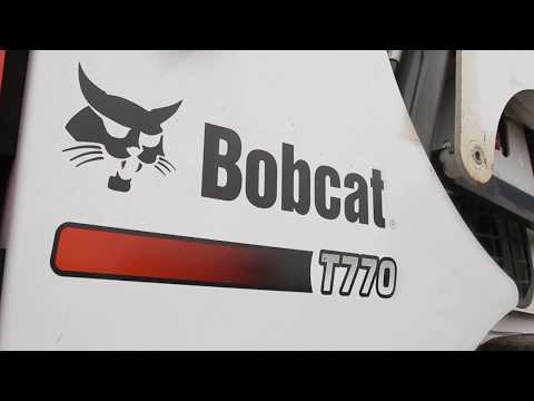 Video: Goldthwaite Bobcat: Biografi, Karrierë, Jetë Personale