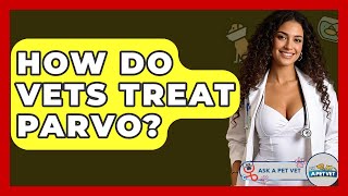 How Do Vets Treat Parvo - Ask A Pet Vet