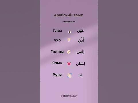 Части тела 👅👁️👋🏻 - YouTube