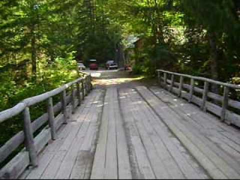 Opal Creek Insect Workshop, part 2