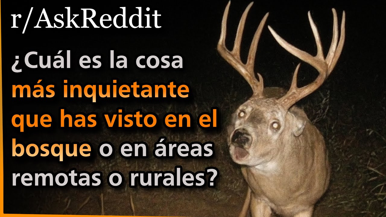 ¿Cuál es la cosa más inquietante que has visto en el bosque o en áreas remotas o rurales? Askreddit