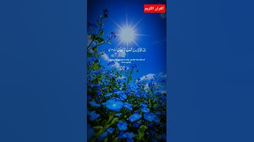 قد افلح من تزكى وذكر اسم ربه فصلى | القران الكريم |#القرآن_الكريم #quran #المصحف #قرآن #تلاوة_خاشعة