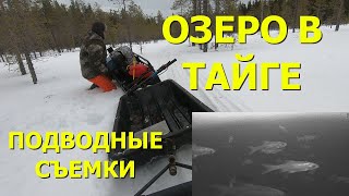 Рыбалка на Севере. Озеро в тайге. Столько рыбы я еще не видел!