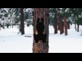 machineheart 🐻❄️ shelter