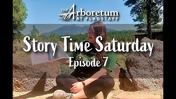 Story Time Saturday 7: Camilla Cartographer