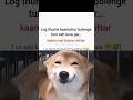 kaam😁😅 #viral #memes #trending #popular #funny #funnymemes #explore #dog #lofimusic