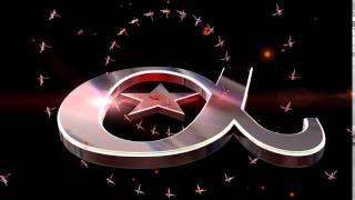 Branding - Logo Animation | Alpha Entertainment