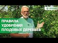 Летние удобрения | Секреты ОГРОМНОГО урожая в моем саду