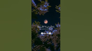 سورة البقرة | اسلام صبحي | ❤ | #قرآن #قران_كريم #islam #quran