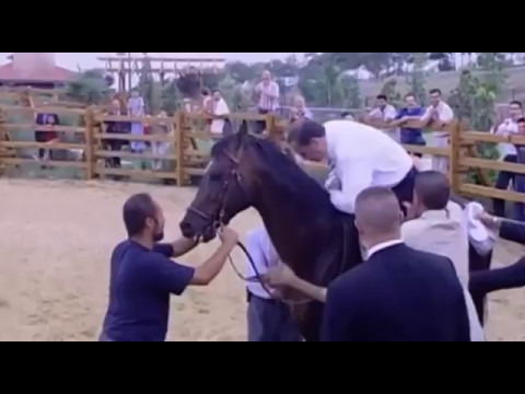 Erdoğan appears on a horse after 14 years