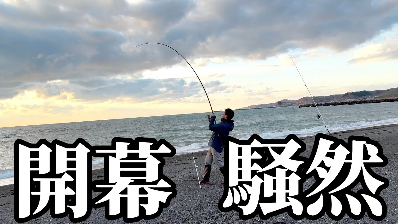 【北海道】【釣り】 晩秋の巨大魚達が開幕‼️奇跡のサーフに大騒然！！