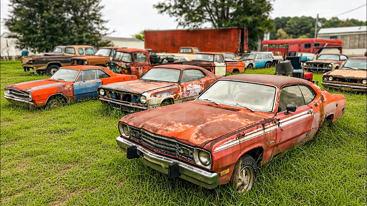 I Bought a HUGE Collection Full of Rare Abandoned Muscle Cars!