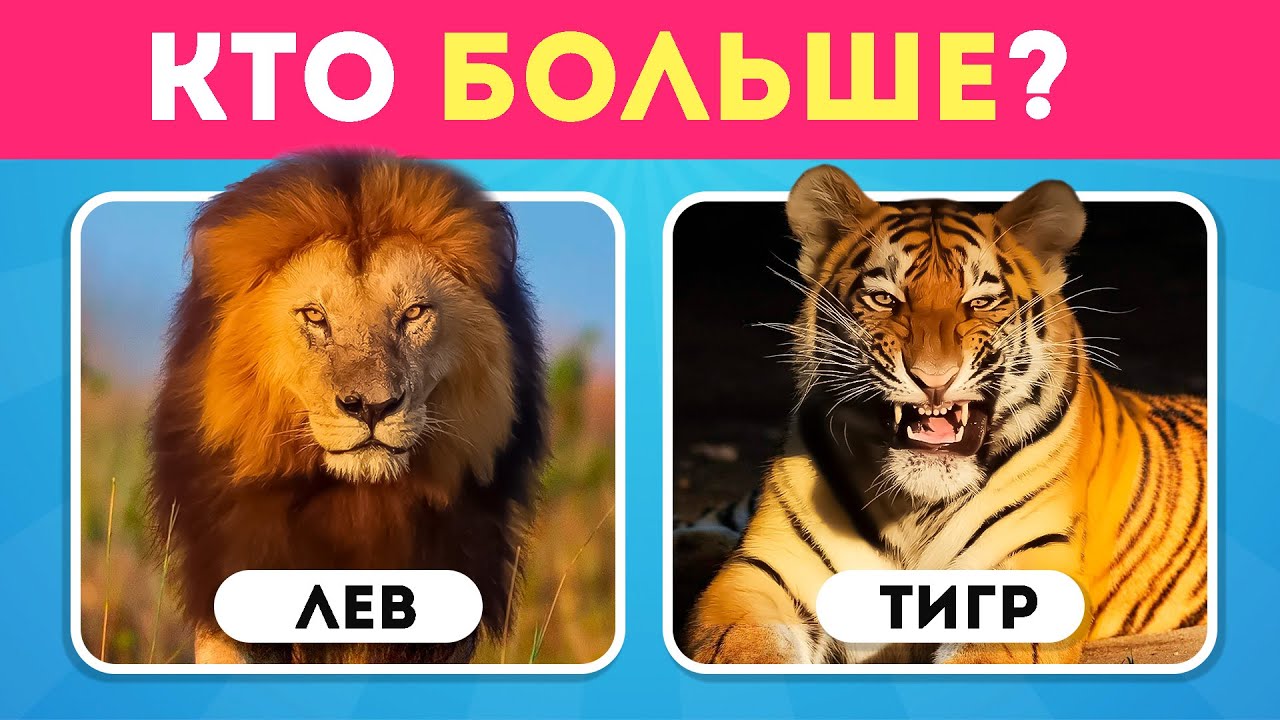 50 ВОПРОСОВ О ЖИВОТНЫХ 🧠🐬🦎🦁 / КАК МНОГО ВЫ ЗНАЕТЕ О ЖИВОТНЫХ / EMOJI COOL 😎