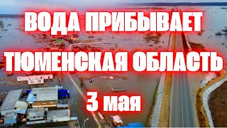 Наводнение в Тюменской области сегодня срочная эвакуация. Уровень воды продолжает расти