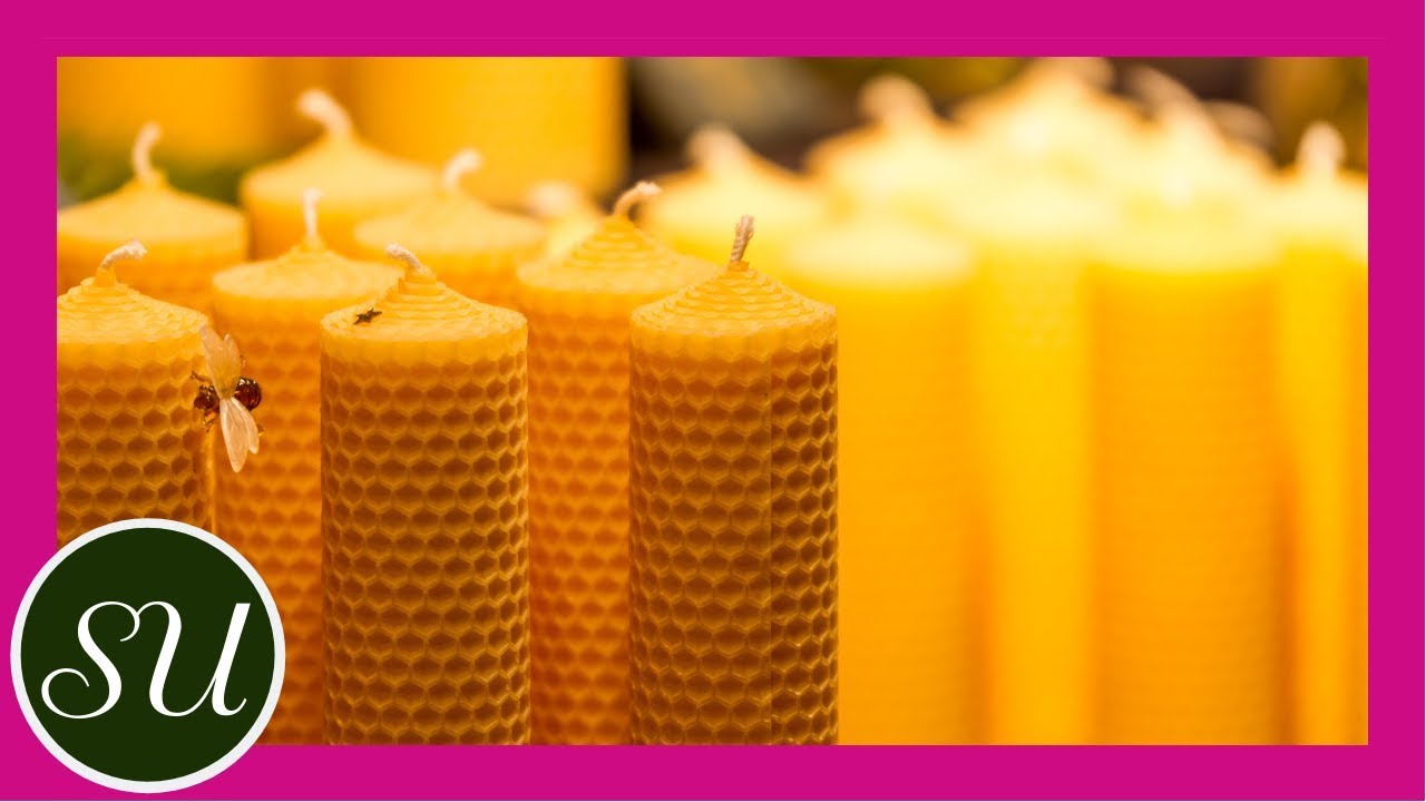 How To Make Healthy Beeswax Palm Candles and Save Money ⋆ Health, Home, &  Happiness