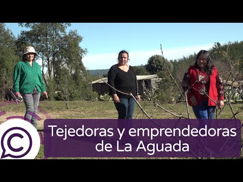 Tejedoras de La Aguada y sus emprendimientos