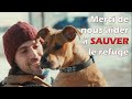 Pour la survie du refuge pour animaux les fidles moustachus