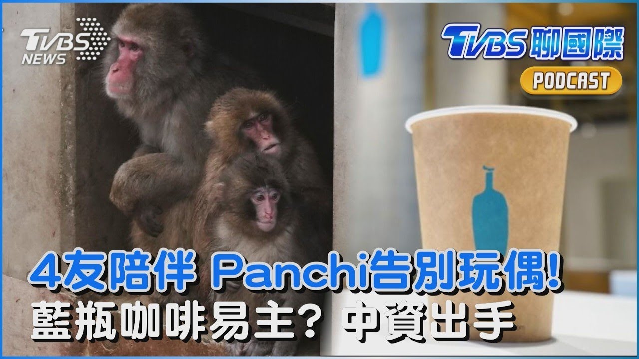 日本小猴Panchi告別娃娃轉大人?回歸同伴生活 中資出手!藍瓶咖啡換老闆「平價+精品」雙品牌布局｜TVBS聊國際PODCAST