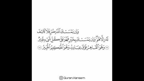 القارئ سعد الغامدي - سورة الأنعام - من الآية 17 إلى الآية 18