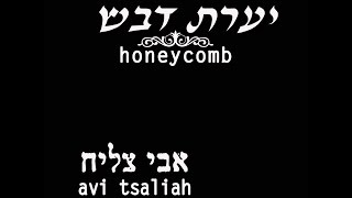 Video voorbeeld van "''יערת דבש'' אבי צליח-"avi tsaliah "honeycomb"