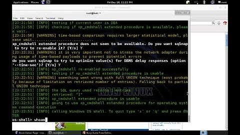 Penetration Testing V1 Chapter 14 Web App Hacking Part 2