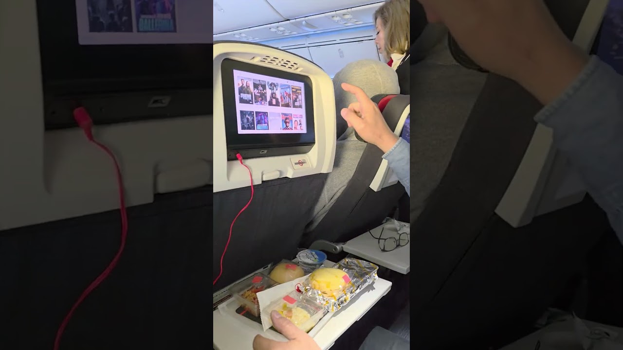 😋Our plane meal #shots #satisfying  #shorts