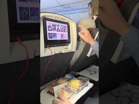 😋Our plane meal #shots #satisfying  #shorts