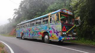 Tharaka Qulity Aluminum Tinted Sticker