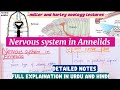 Nervous system in annelids|Giant nerve fiber in polychaete
