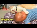 NGAKAK..!😂 Pororo Disuruh Jadi Baby Sitter Malahan Tidur Bareng Bayi ~ Video Kucing Pororo Terbaru