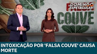 Intoxicação Por Falsa Couve Causa Morte E Alerta Sobre Plantas Venenosas No Brasil