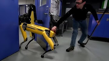 Human v robot dog: Boston Dynamics takes on its door-opening SpotMini