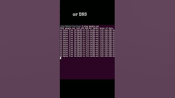 The ping Command Helps Identify Network and DNS Issues