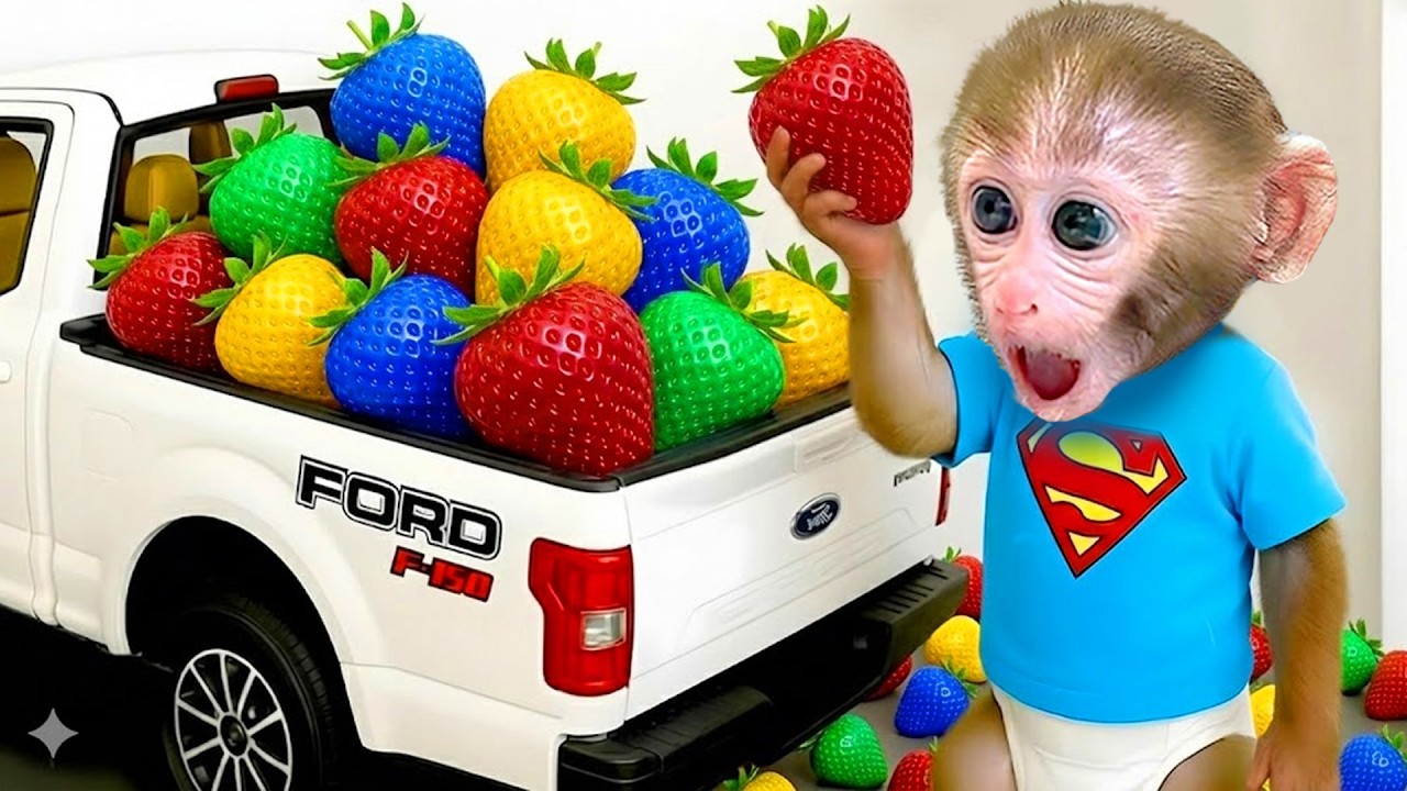 꼬마 원숭이 GoGo가 싱싱하고 맛있는 딸기를 따서 친구들과 사이좋게 나눠요 - Gogo Monkey Aventure