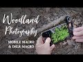 Spring Woodland Photography in Texas | A Mix of Olloclip Macro Lens and DSLR Nature Photography