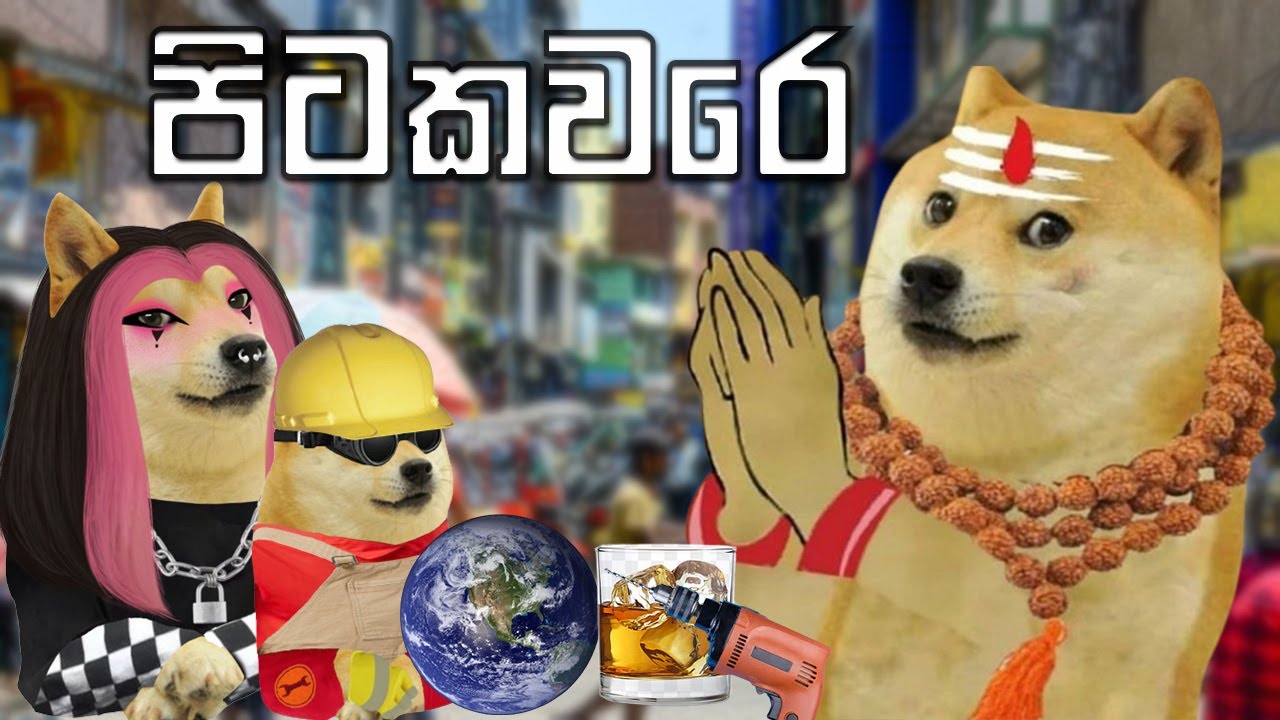 Pitakavare ( Cheems & Doge Style ) පිටකවරේ අමු සින්දුව