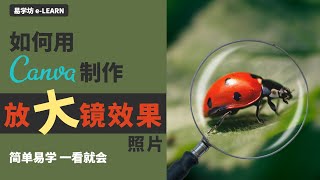 如何在Canva中创建放大镜效果