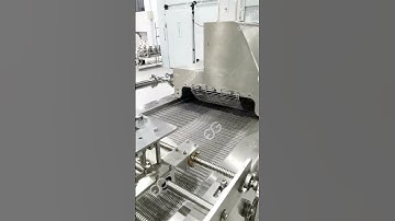 Automatic Spring Roll Machine For Sale - Test