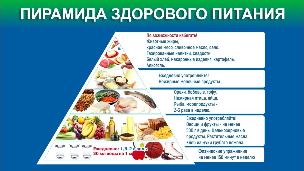 Пирамида здорового питания - YouTube