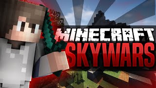Minecraft: Hypixel Skywars - Episode 2 | TOO EASY
