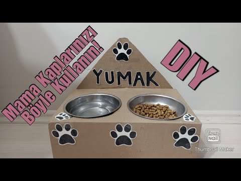 Video: Bir Kedi Için Mama Kabı Nasıl Yapılır?