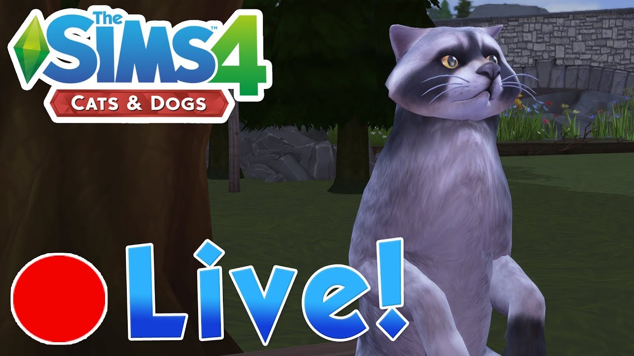 Thieving Rascal Sims 4: Cats & Dogs • The Rascal Raccoon Gang's Thieving Ways ...