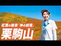 【栗駒山】東北の紅葉名所「神の絨毯」へ！最短の中央コースで行く日帰り家族登山