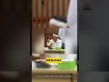 🔥 Gubernur Dilema: Pilih Riuh Orang Tua atau Anak Tak Sekolah?