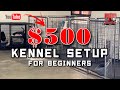 Kennel setup for beginners 