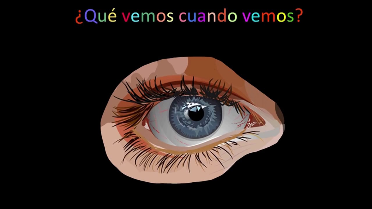 Una Fenomenología de las Percepciones