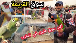 سوق القريعة للطيور المغرب  تعرف على اتمنة جميع طيور الزينة والمغردة+معلومة