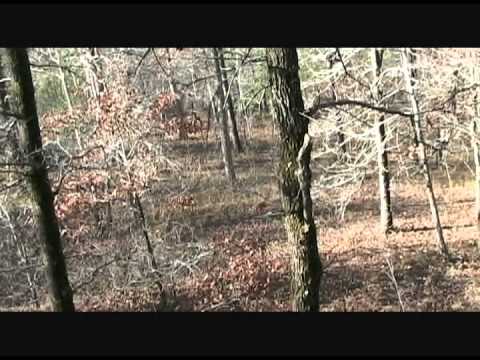 crockett slough davy big hunting forest national