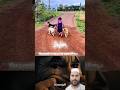 They Used to Run to Her After School..Today She Walks Alone #algorithm #viral #dog #emostional #cry