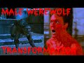 Werewolf Transformation - you are hot scene - American werewolf in Paris HD